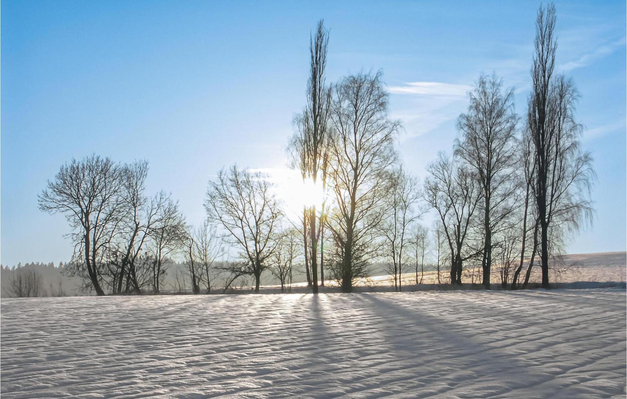 Gorgeous Home In Waldthurn With Wifi Екстер'єр фото